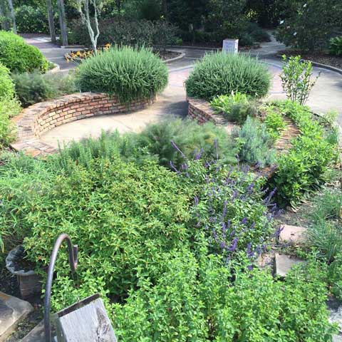 Beaumont Botanical Gardens 